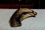 2007 03 20 jack house200